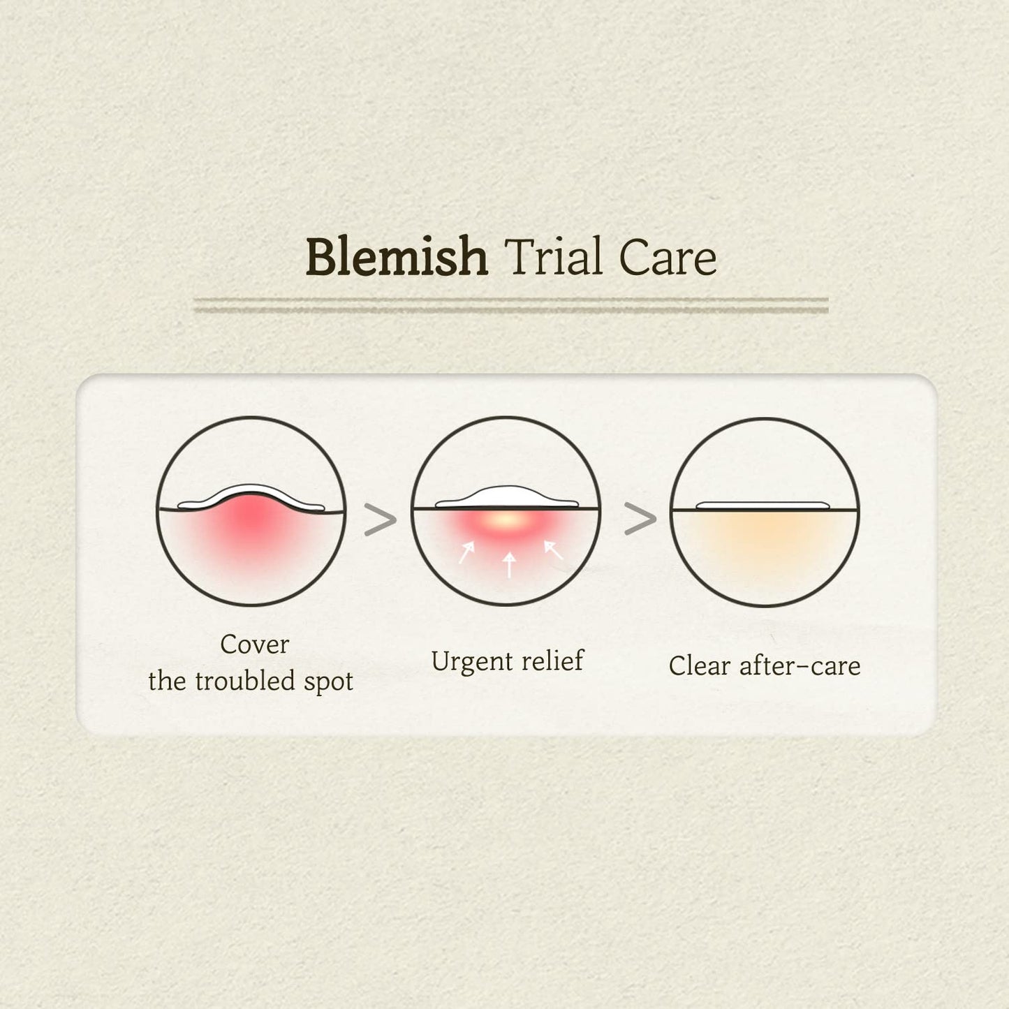 Skinfood CICA Clear Spot Patch 110EA