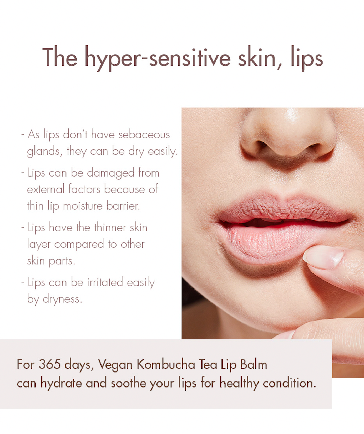 Dr.Ceuracle Vegan Kombucha Tea Lip Balm