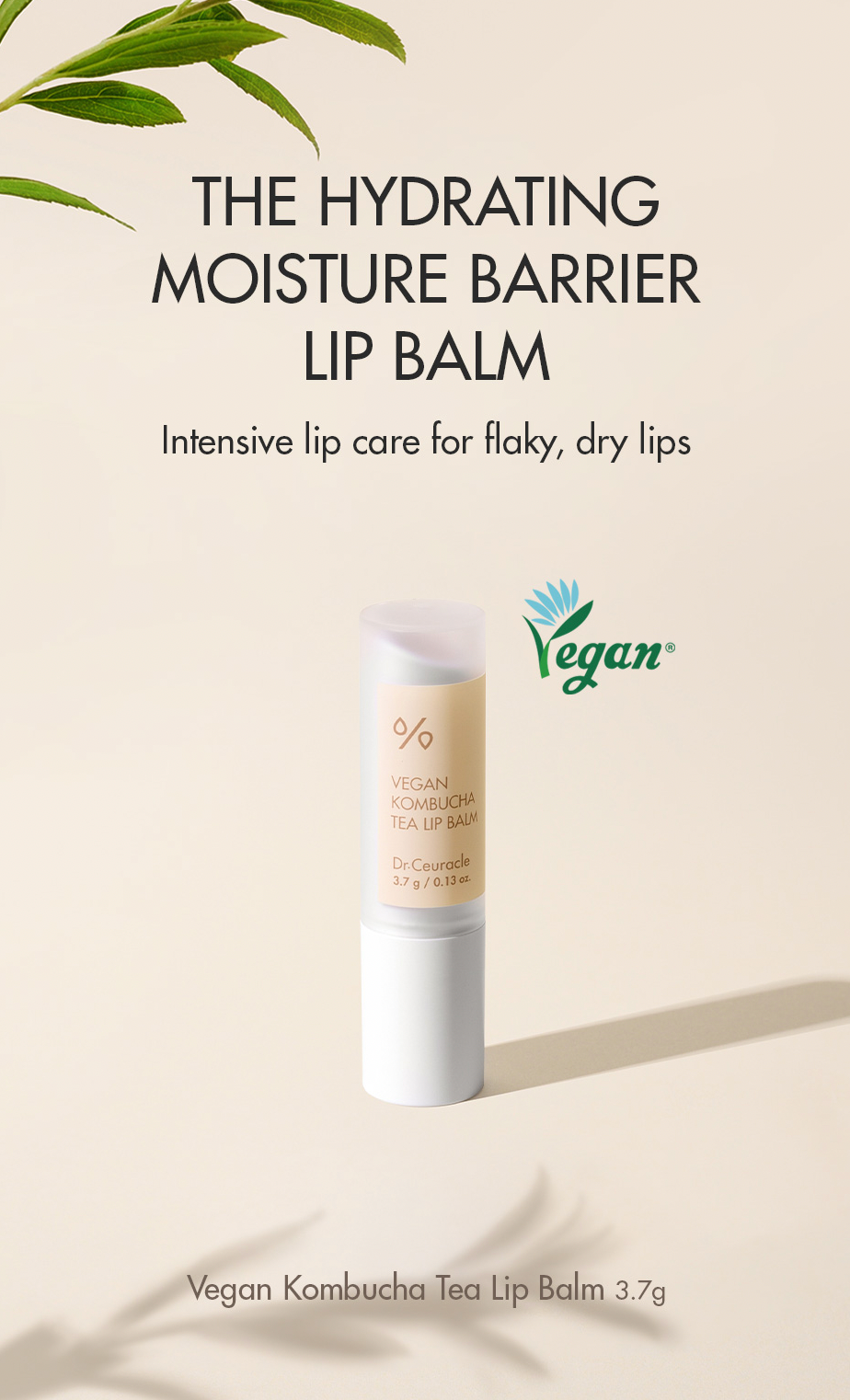 Dr.Ceuracle Vegan Kombucha Tea Lip Balm