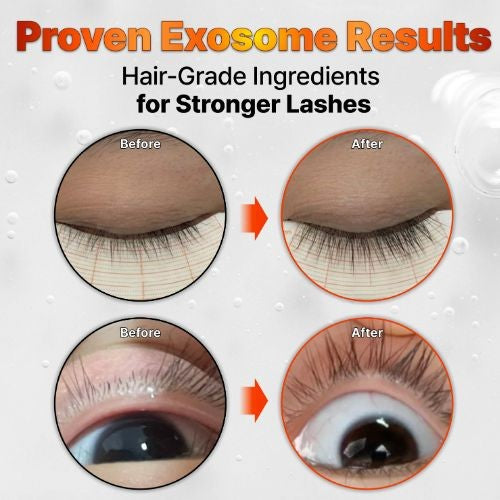 Lilyeve GROW:TURN Exosome Dual Lash Serum 8ml