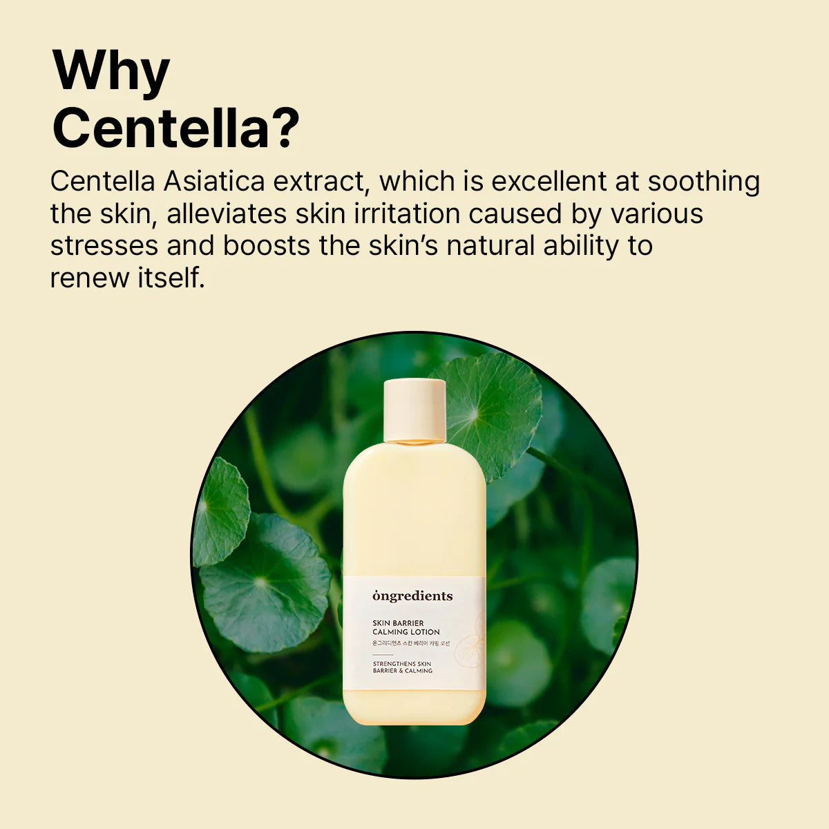 Ongredients Centella Asiatica Skin Barrier Calming Lotion (220 ml)