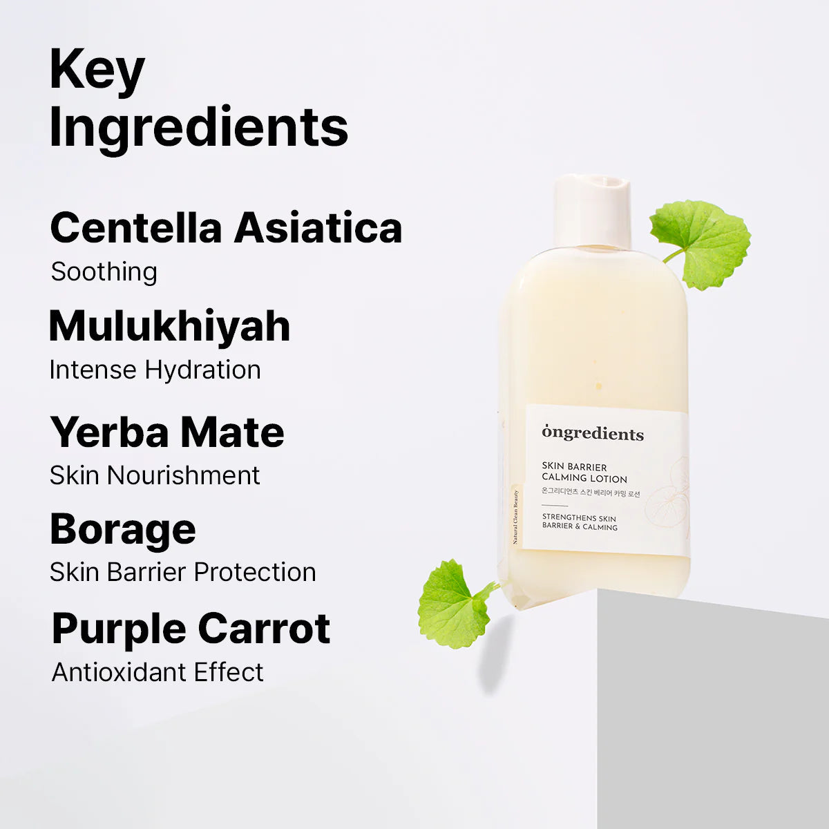 Ongredients Centella Asiatica Skin Barrier Calming Lotion (220 ml)