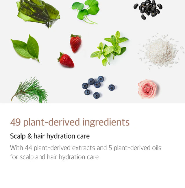 KUNDAL Cherry Blossom Edition|Honey & Macadamia Shampoo & Treatment Set (500ml + 500ml)