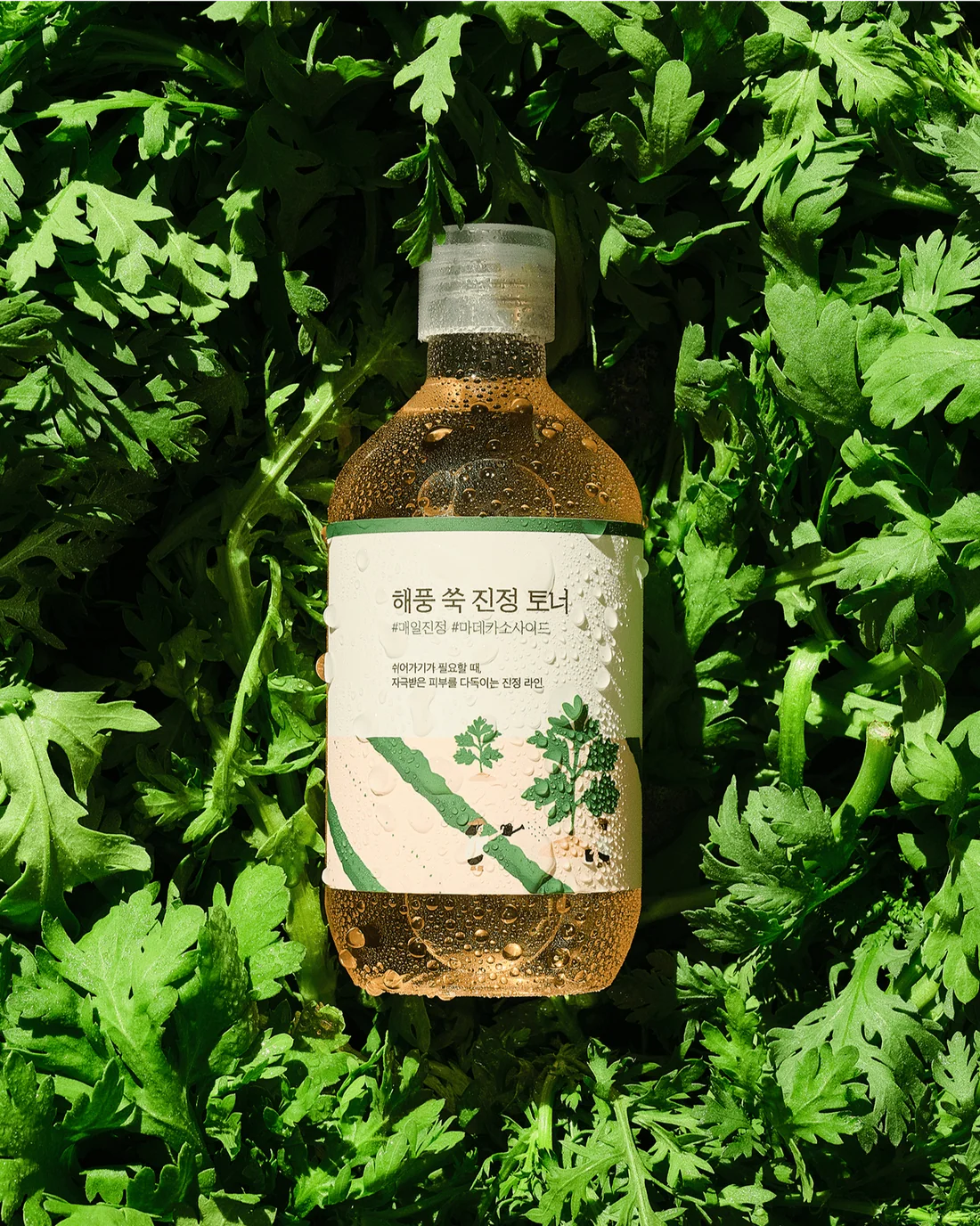 Round Lab Mugwort Calming Toner 300ml