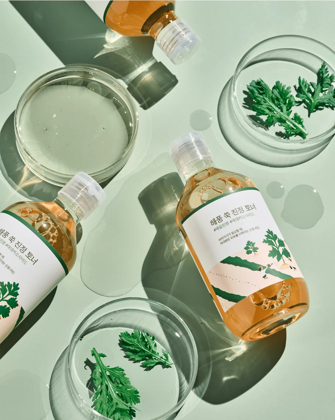Round Lab Mugwort Calming Toner 300ml