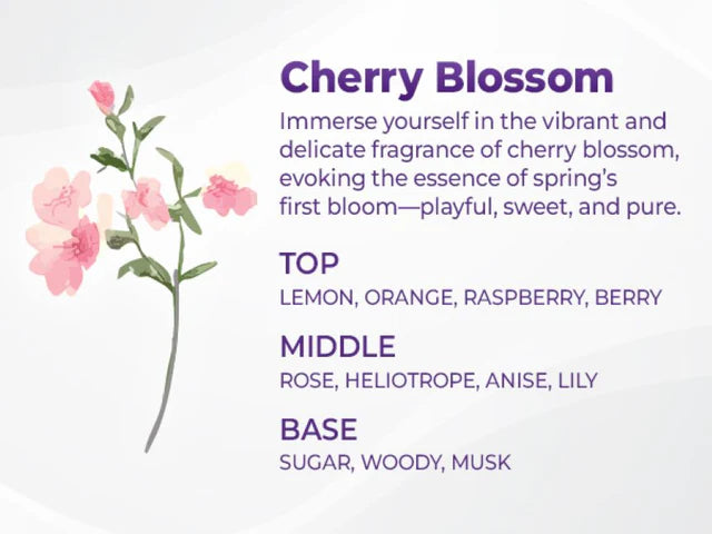 KUNDAL Cherry Blossom Edition|Honey & Macadamia Shampoo & Treatment Set (500ml + 500ml)